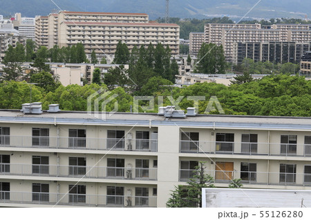 団地 団地 55126280