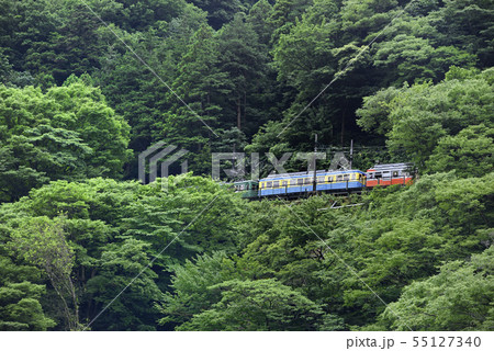 箱根登山鉄道100形 【神奈川県】 出山信号所スイッチバック 箱根登山鉄道100形 【神奈川県】 出山信号所スイッチバック 55127340