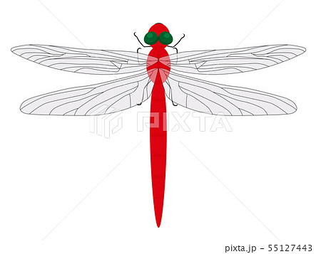 赤とんぼのイラスト素材 [55127443] - PIXTA