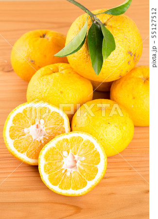 無農薬栽培の甘夏みかん 無農薬栽培の甘夏みかん 55127512
