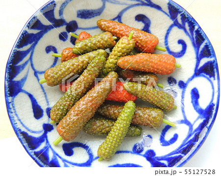 ピパーツの実 (Okinawa) ピパーツの実 (Okinawa) 55127528