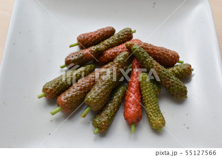 ピパーツの実 (Okinawa) 55127566