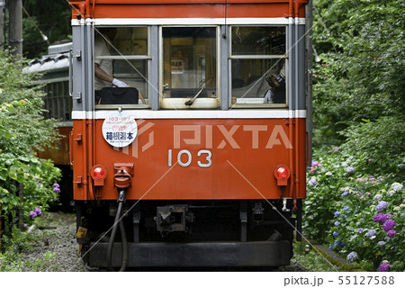 箱根登山鉄道100形 【2019】 103号車 【神奈川県】  55127588