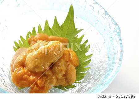 生ウニ 生ウニ 55127598