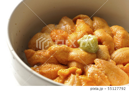 生うに丼 55127792