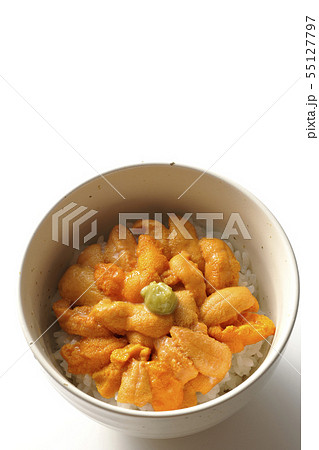 生うに丼 生うに丼 55127797