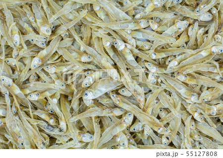 Small dried sea fish background. Small dried sea fish background. 55127808