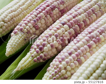 トウモロコシ 鮮度 有機 55127816
