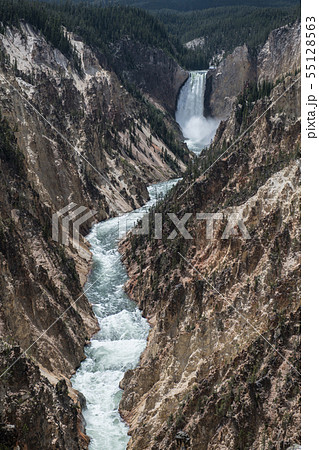 Mountain river in Grand Canyon of Yellowstone  55128563