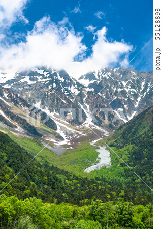 《長野県》新緑の上高地・岳沢 55128893