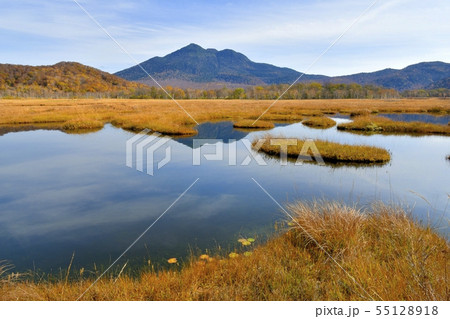 草紅葉の尾瀬ヶ原に池塘に映る燧ヶ岳と紅葉の山々の写真素材