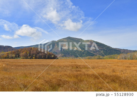草紅葉の尾瀬ヶ原に至仏山と紅葉の山々 草紅葉の尾瀬ヶ原に至仏山と紅葉の山々 55128930