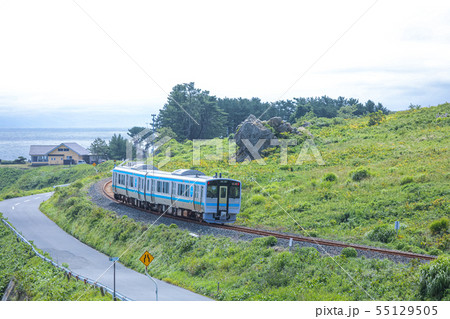 種差海岸を走る電車 八戸線 種差海岸を走る電車 八戸線 55129505