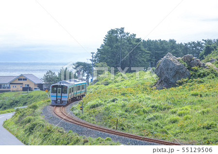 種差海岸を走る電車　八戸線 55129506