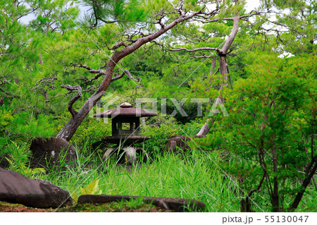 日本庭園 55130047