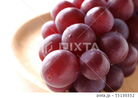 デラウェア 55130352