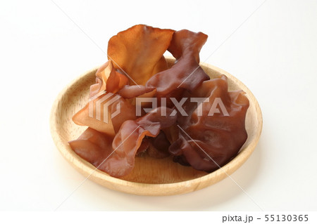 アラゲキクラゲ 55130365