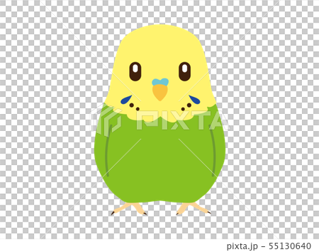セキセイインコ_グリーンのイラスト素材 [55130640] - PIXTA