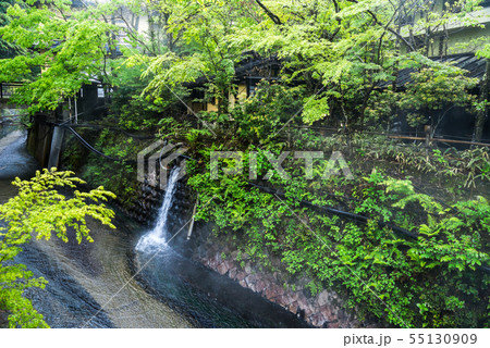 新緑に覆われた川に流れ落ちる温泉湯 55130909