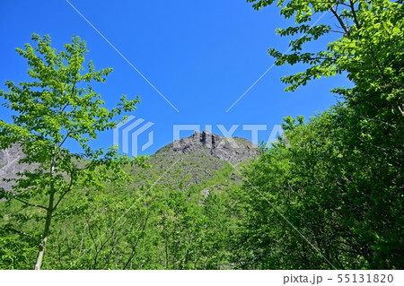 新緑の若葉と有珠山のコラボ＠北海道 55131820