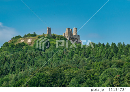Castle ruin Hohenburg, Upper Palatinate in Bavaria, Germany Castle ruin Hohenburg, Upper Palatinate in Bavaria, Germany 55134724