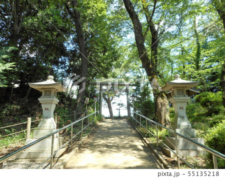 滝の城跡 滝の城跡 55135218