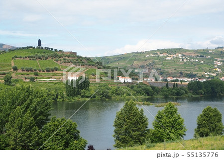ポルトガル（ドウロ渓谷の風景） 55135776