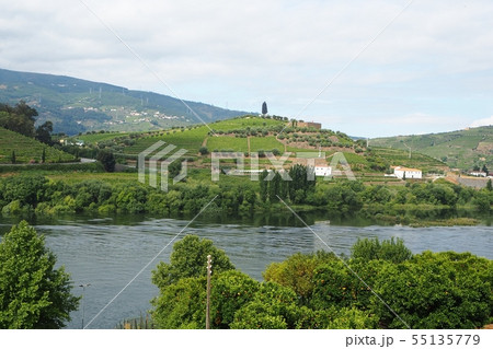 ポルトガル（ドウロ渓谷の風景） 55135779