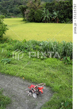 愛し台湾(台湾花蓮ののどかな風景、日本の田舎と余り変わらないが。ただそこには南国の風が吹いていた。) 愛し台湾(台湾花蓮ののどかな風景、日本の田舎と余り変わらないが。ただそこには南国の風が吹いていた。) 55135797