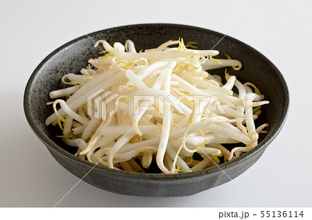もやし もやし 55136114