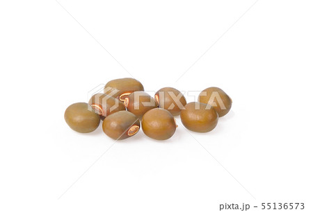 brown bean on white background 55136573