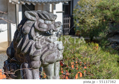 建勲神社 境内の狛犬 建勲神社 境内の狛犬 55137362