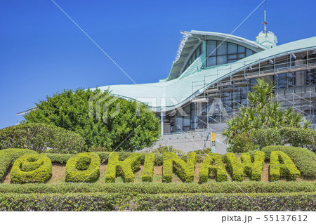 沖縄のトロピカルビーチに近い宜野湾市のヤシの木を飾る沖縄コンベンションセンターの建物。 沖縄のトロピカルビーチに近い宜野湾市のヤシの木を飾る沖縄コンベンションセンターの建物。 55137612