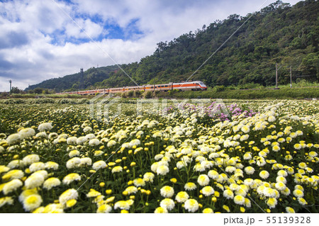 Florist and the Train 55139328
