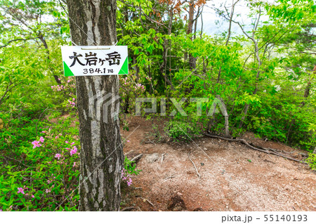 裏六甲の低山「大岩ヶ岳」山頂から神戸水道千刈水源池方面(兵庫県三田市山田)※作品コメント欄に撮影位置 裏六甲の低山「大岩ヶ岳」山頂から神戸水道千刈水源池方面(兵庫県三田市山田)※作品コメント欄に撮影位置 55140193