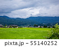 Rice field with young shoots in Japanese province 55140252