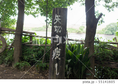 矢切の渡し 55141605