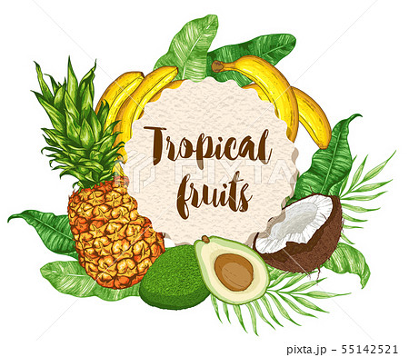 Ripe tropical fruits and green leaves 55142521