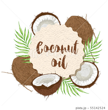 Coconuts and green palm leaves 55142524