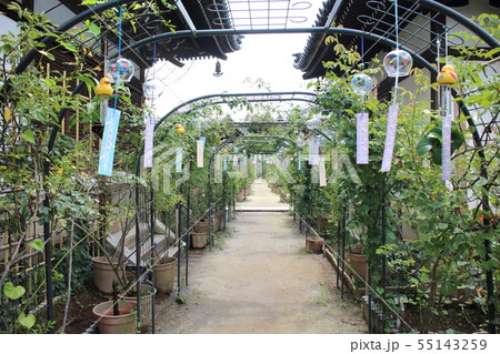 おふさ観音 55143259