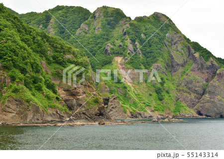 北海道岩内町雷電海岸で雷電岬の夏の風景を撮影 55143314