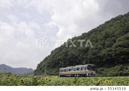 向日葵とローカル線 55143519