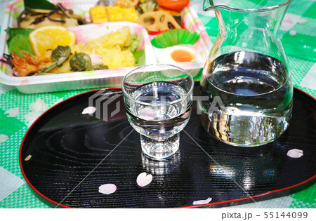 花見で一献 55144099