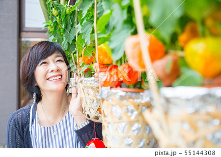 風鈴竹籠に入ったホオズキとミドル女性。  ほうずき ほおずき 初夏イメージ 55144308