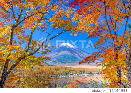 Mt. Fuji, Japan with Fall Foliage 55144953