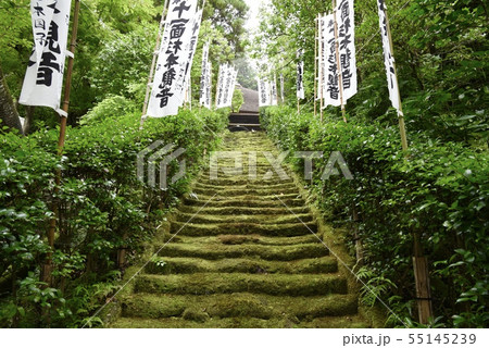 鎌倉・杉本寺の苔の階段 鎌倉・杉本寺の苔の階段 55145239