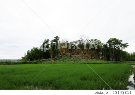 纒向勝山古墳 纒向勝山古墳 55145811