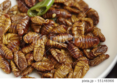 韓国の珍味 ポンデギの写真素材 韓国の珍味 ポンデギの写真素材