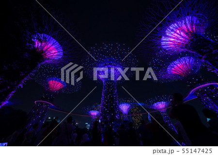 ガーデンズ バイ ザ ベイ スーパーツリー グローブ 夜景の写真素材