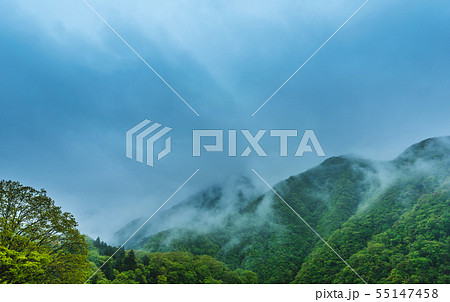 イメージフォト 55147458